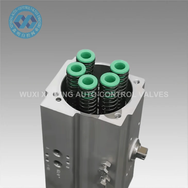 info-1-1 Pneumatic Valve Actuators For Water Treatment Plants
