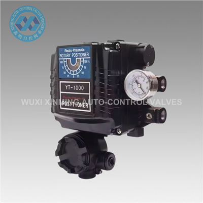 Yt -1000 l Original Ventil Poolter